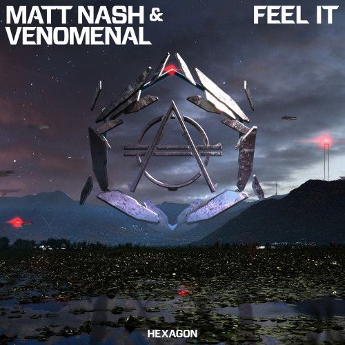 Feel It Feel It